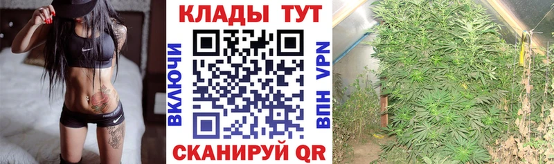Виды наркоты Полярные Зори КОКАИН МЕТАМФЕТАМИН Меф Галлюциногенные грибы ГАШ СОЛЬ Бошки Шишки