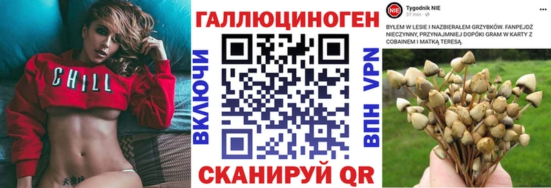 Псилоцибиновые грибы MAGIC MUSHROOMS  нарко площадка официальный сайт  Полярные Зори  купить  